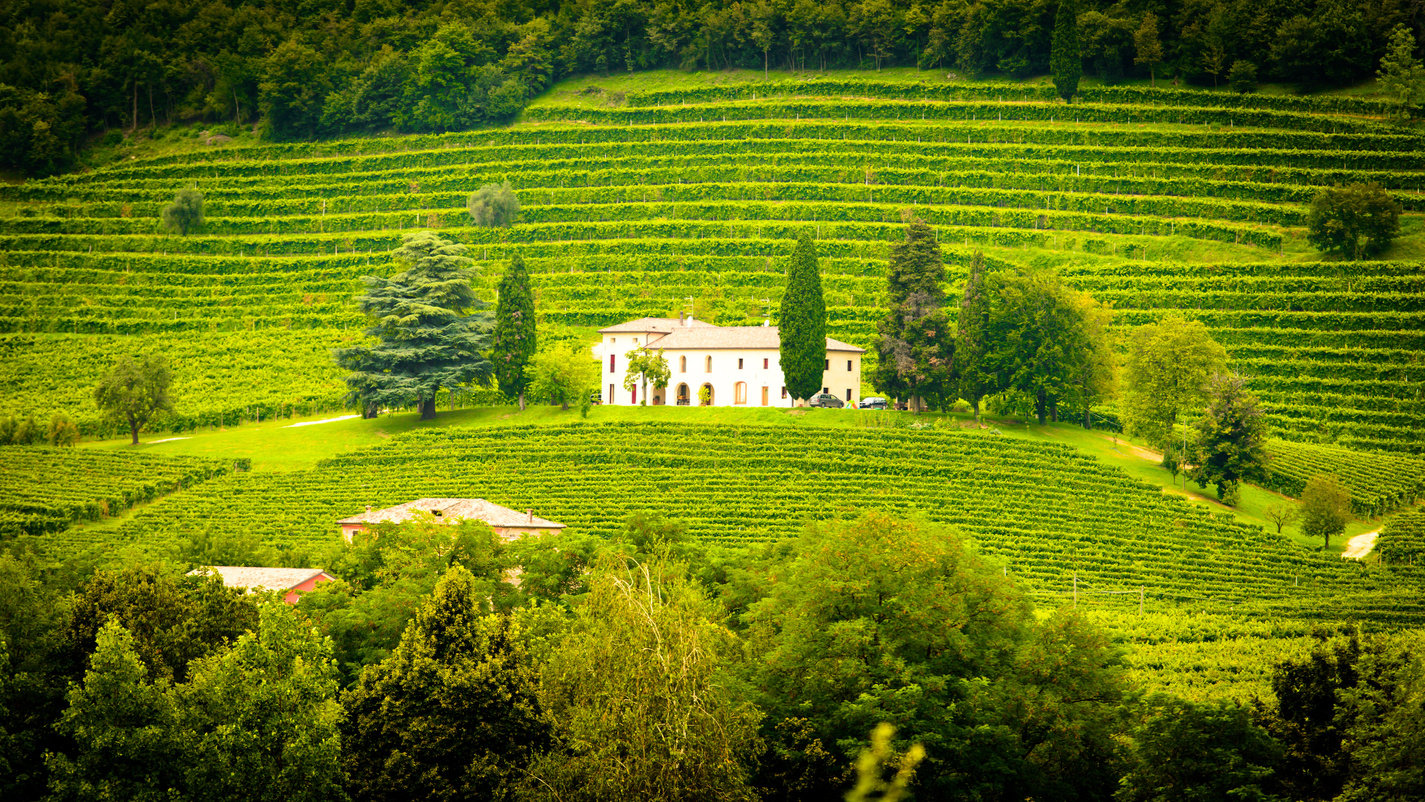 Residential House at the Hills